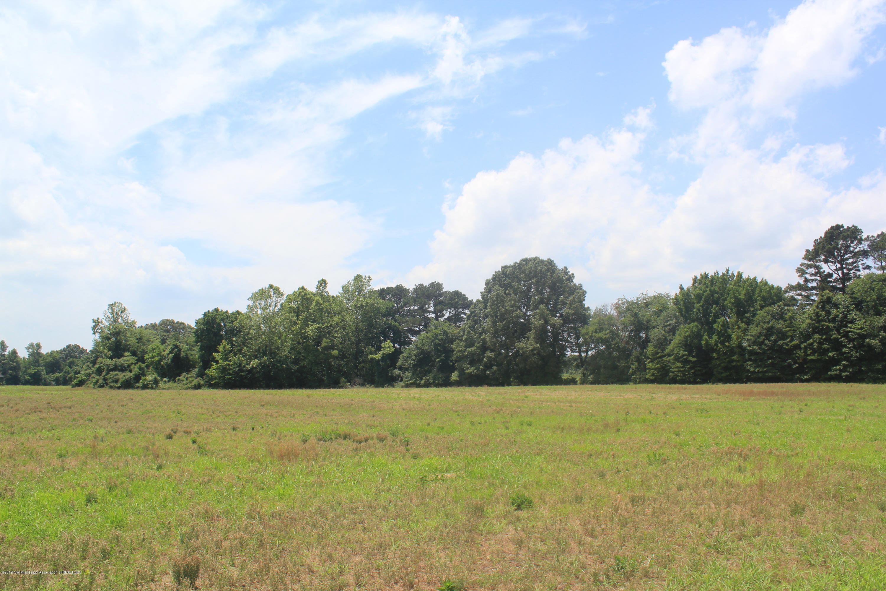 3 East Oak Grove Road Hernando, MS 38632 - Photo 5 of 22 005