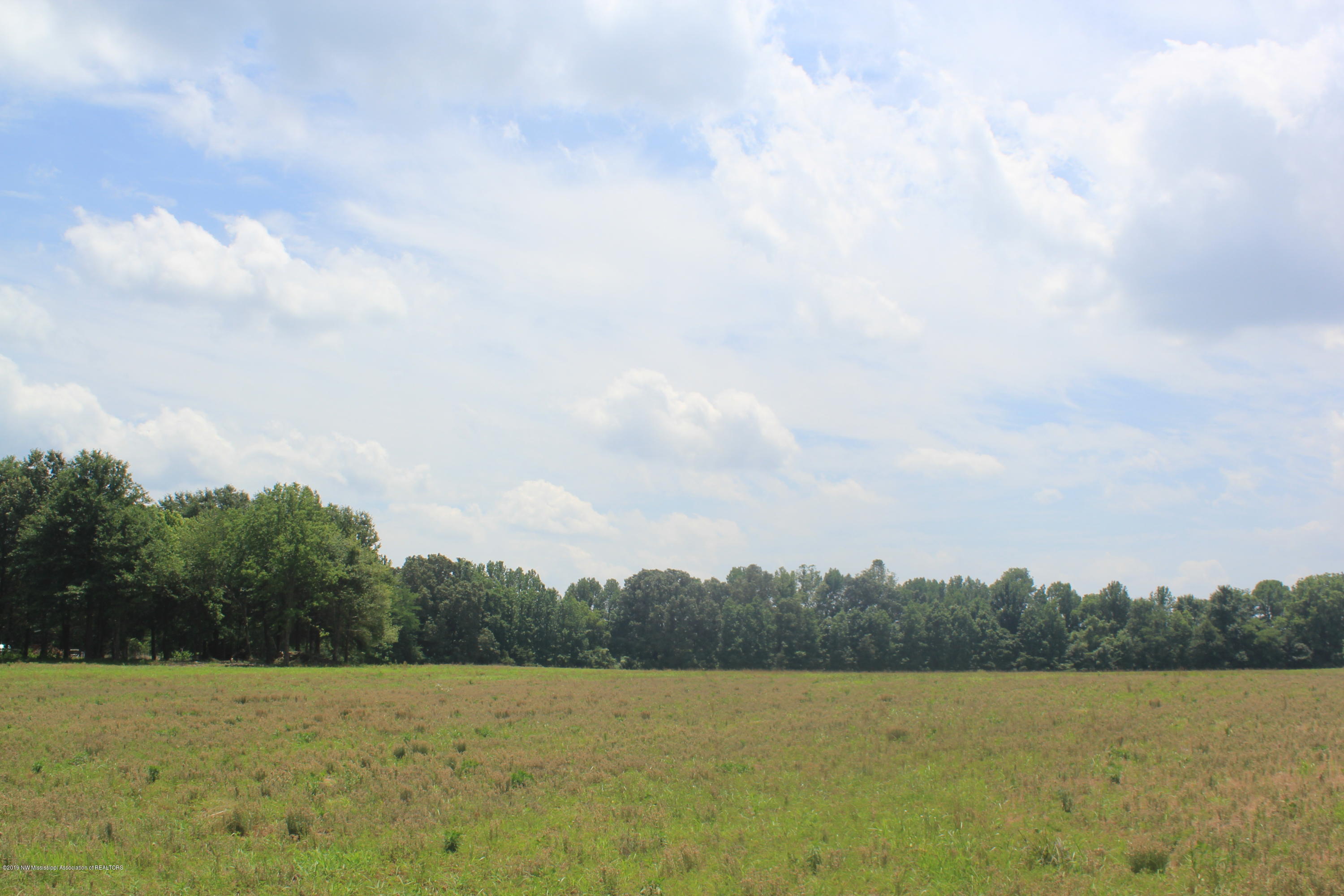 3 East Oak Grove Road Hernando, MS 38632 - Photo 6 of 22 006