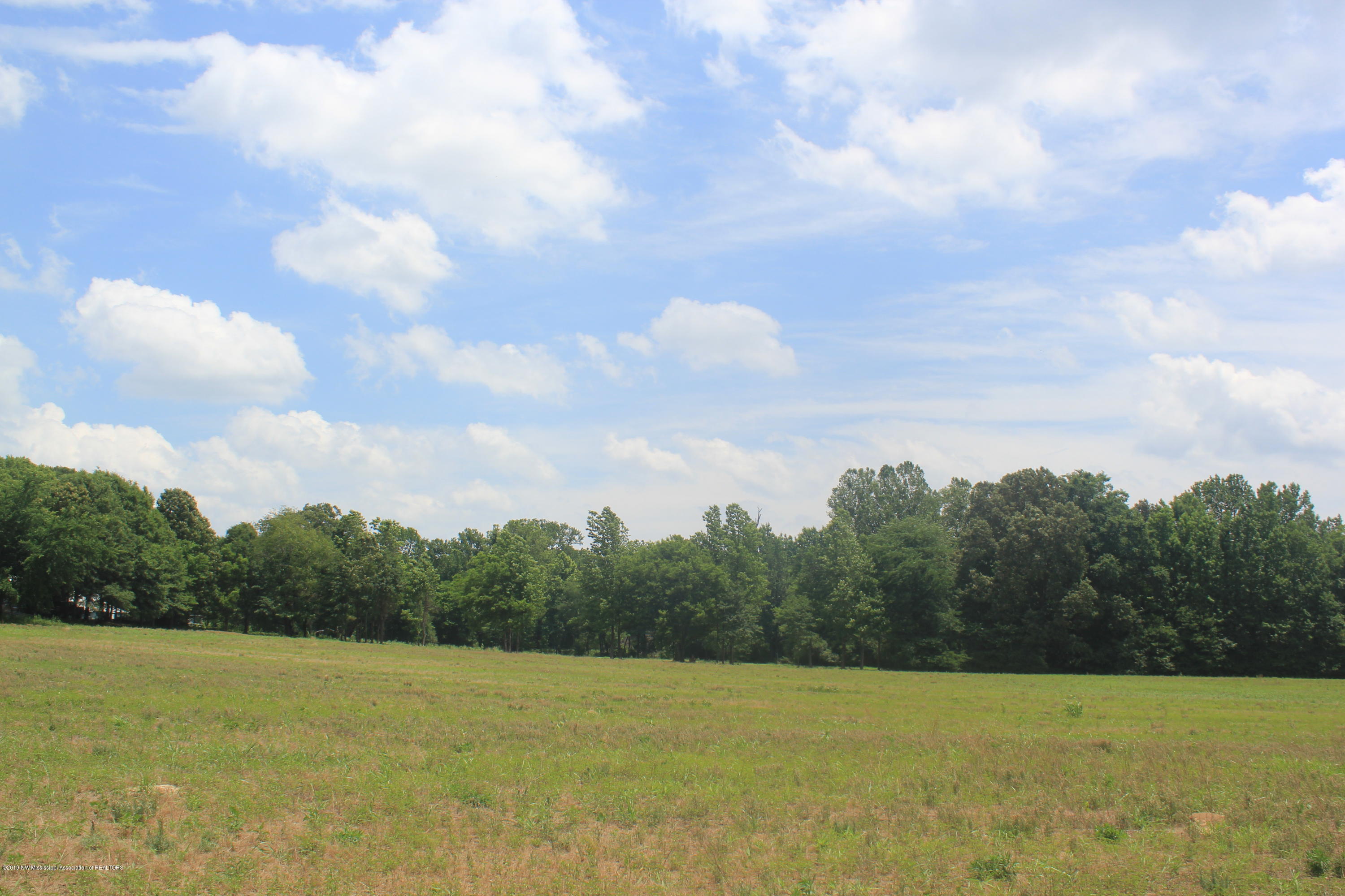 3 East Oak Grove Road Hernando, MS 38632 - Photo 8 of 22 008