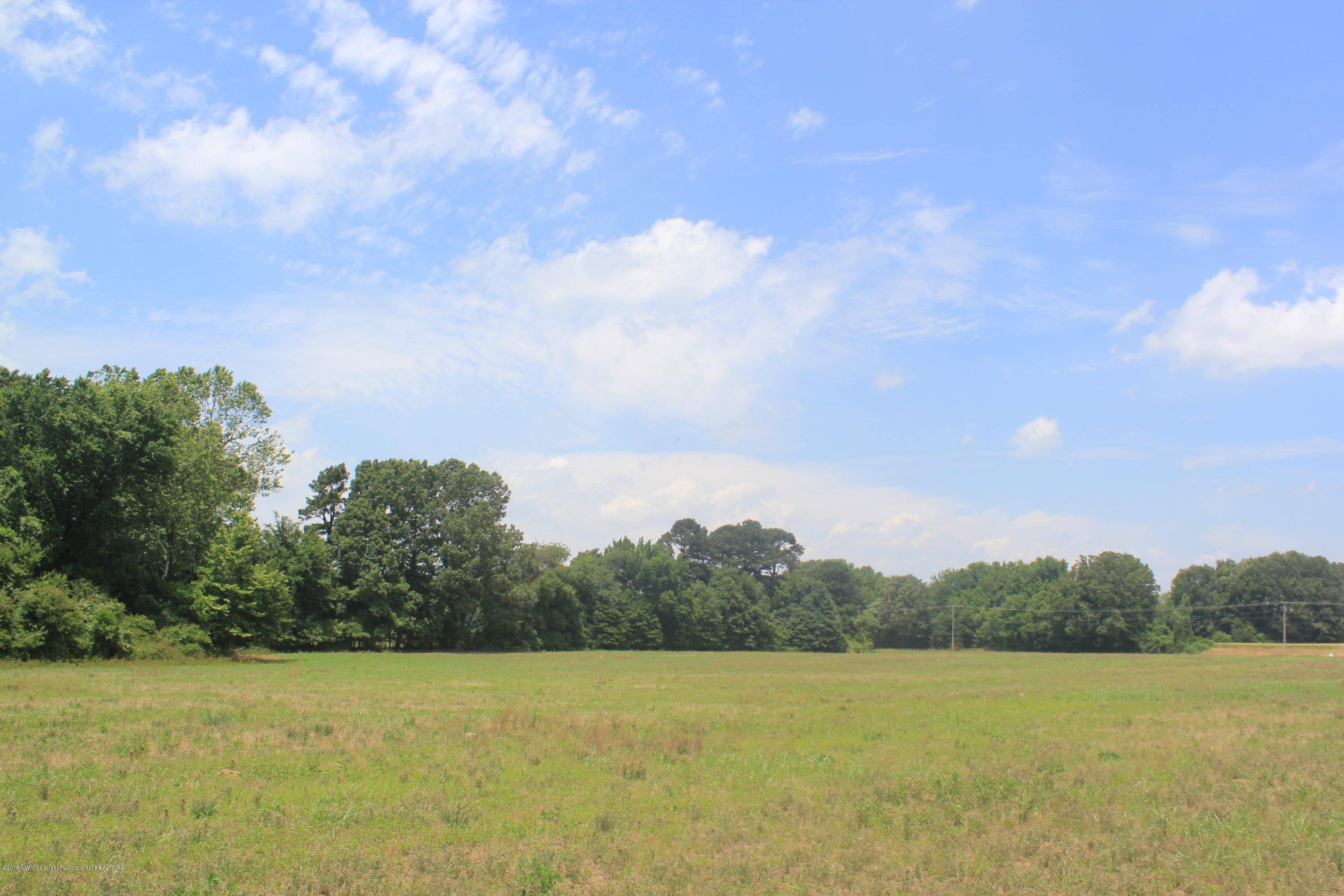3 East Oak Grove Road Hernando, MS 38632 - Photo 9 of 22 009