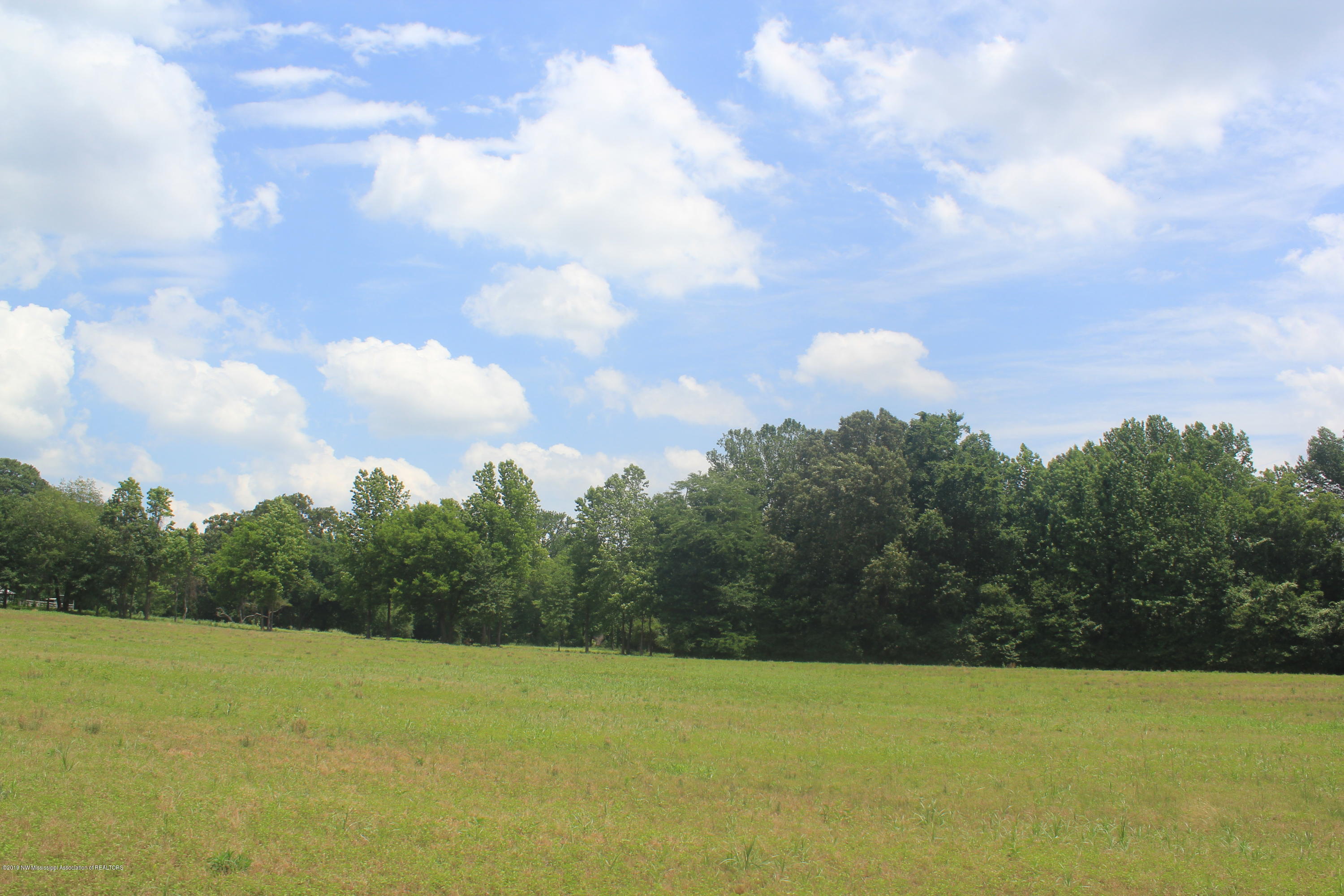 3 East Oak Grove Road Hernando, MS 38632 - Photo 10 of 22 010