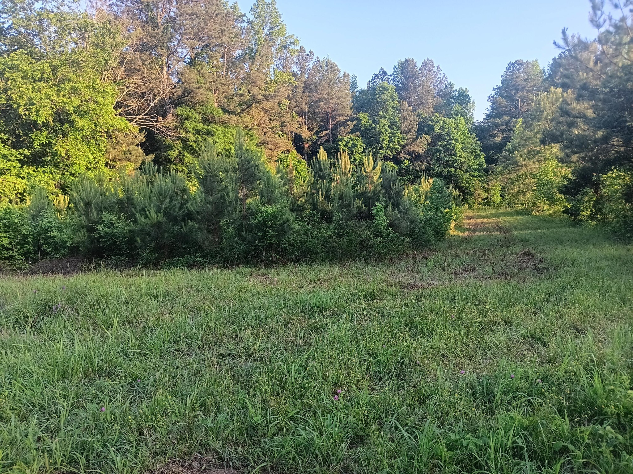 5 Reagan Road Southeast Cleveland, TN 37323 - Photo 1 of 3