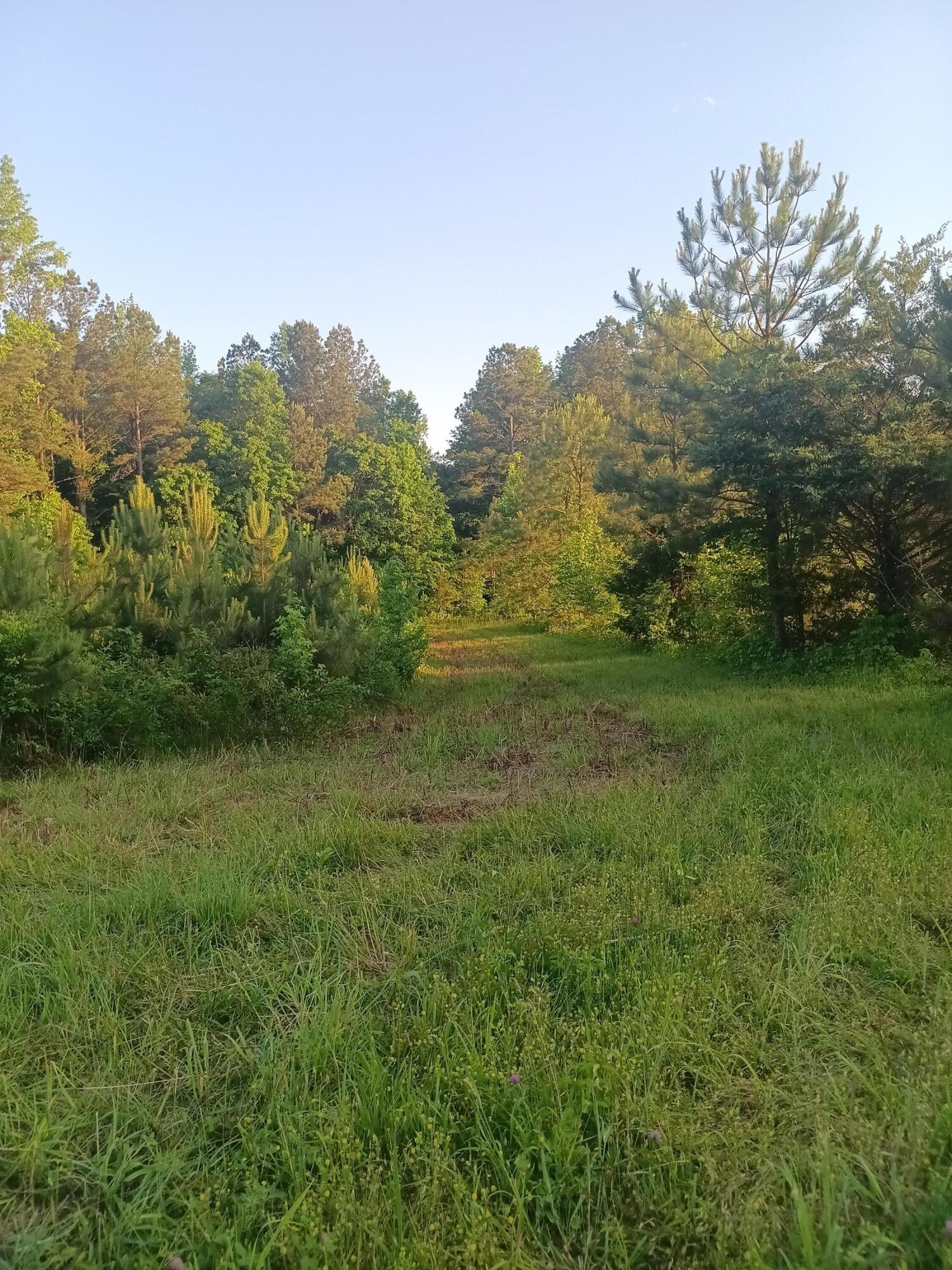 5 Reagan Road Southeast Cleveland, TN 37323 - Photo 2 of 3