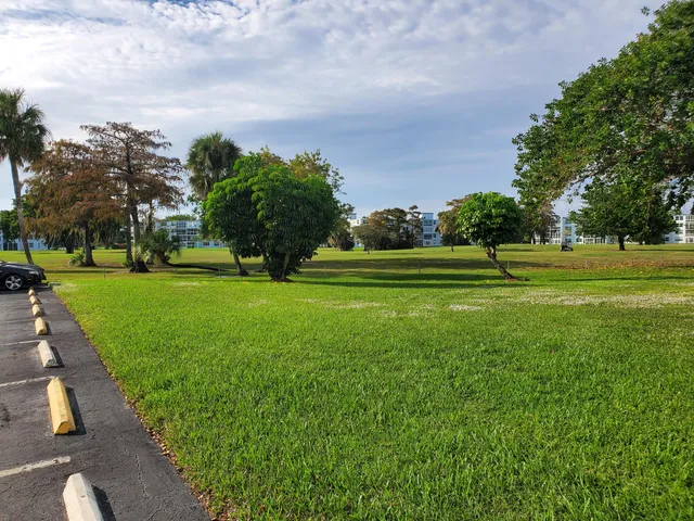 a grassy field with some trees in the background