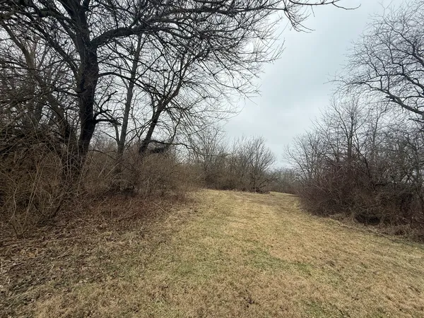 a view of an outdoor space