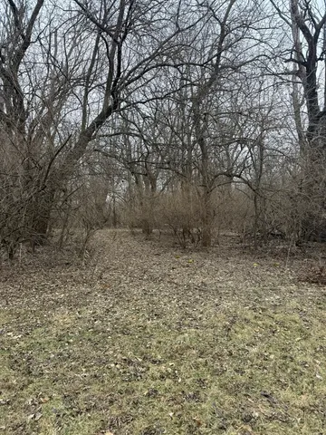 $825,000 | 2-3 And 4 Burr Oaks Lane, Bloomington, IL 61705