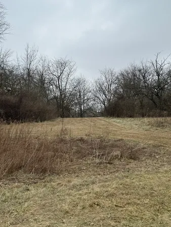 a view of backyard with wooden fence