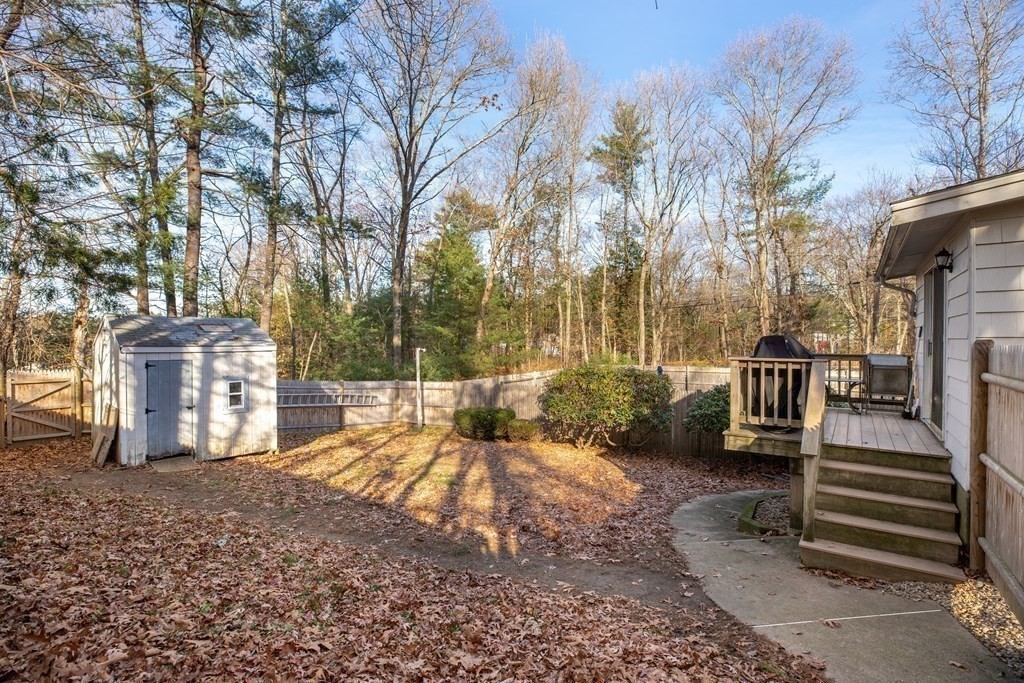 1 Spring Lane Sharon, MA 02067 - Photo 20 of 23 a view of a yard with plants and trees