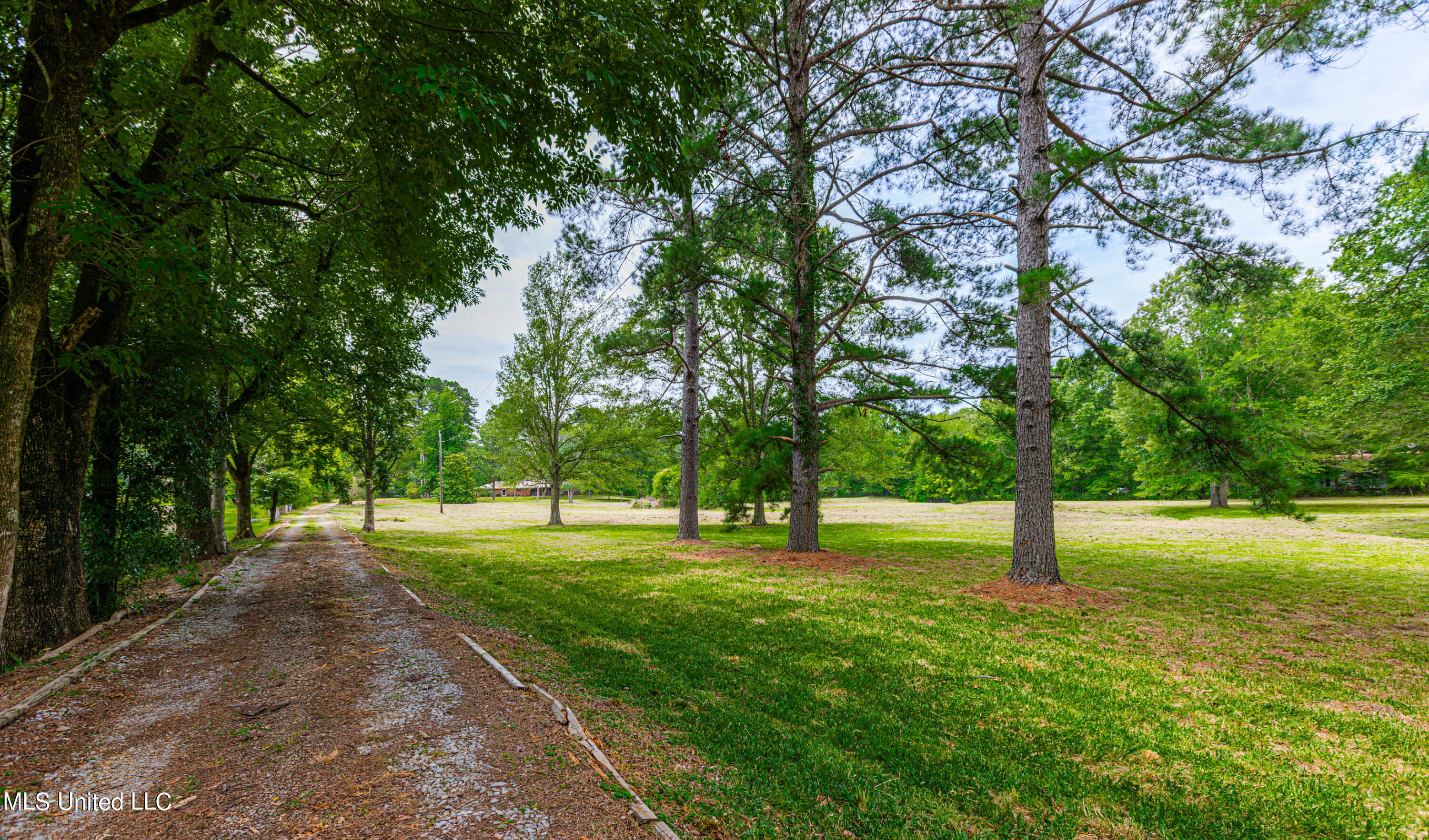 1965 McRaven Road Clinton, MS 39056 - Photo 15 of 28 1R4A1611-Enhanced-NR