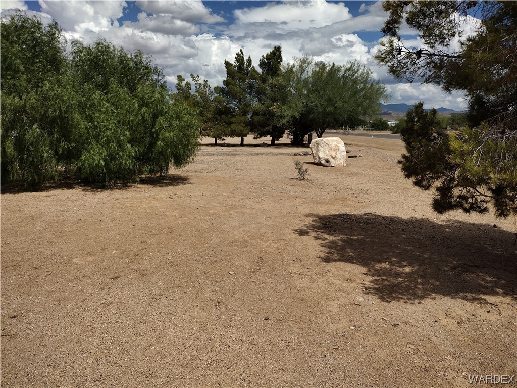 3321 McConnico Road Golden Valley, AZ 86413 - Photo 4 of 61