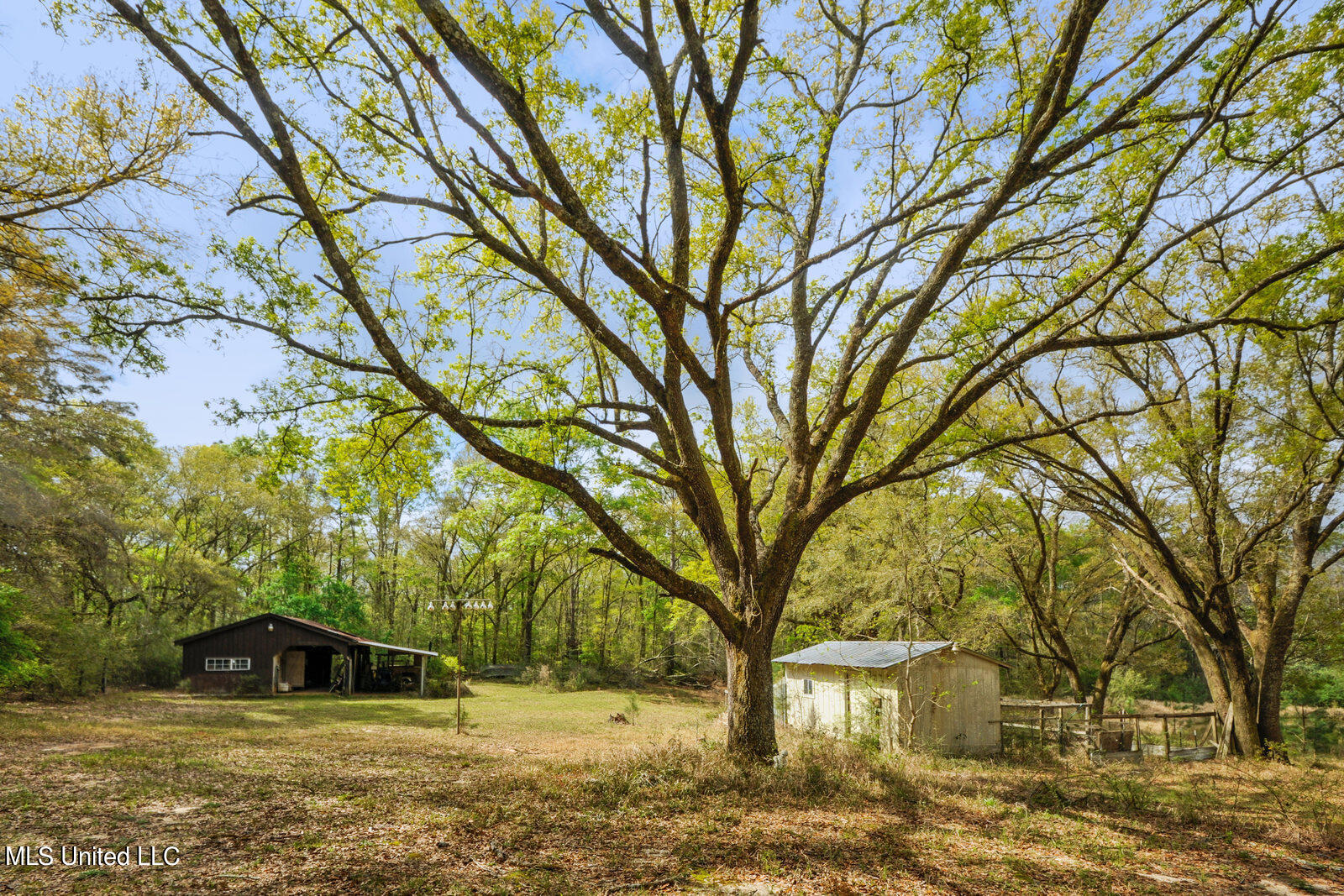 228 Old Rob Hunter Road Lucedale, MS 39452 - Photo 12 of 23 011_1600x1067_mls