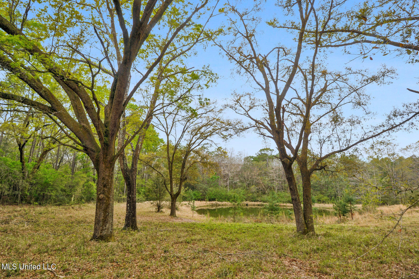 228 Old Rob Hunter Road Lucedale, MS 39452 - Photo 14 of 23 013_1600x1067_mls