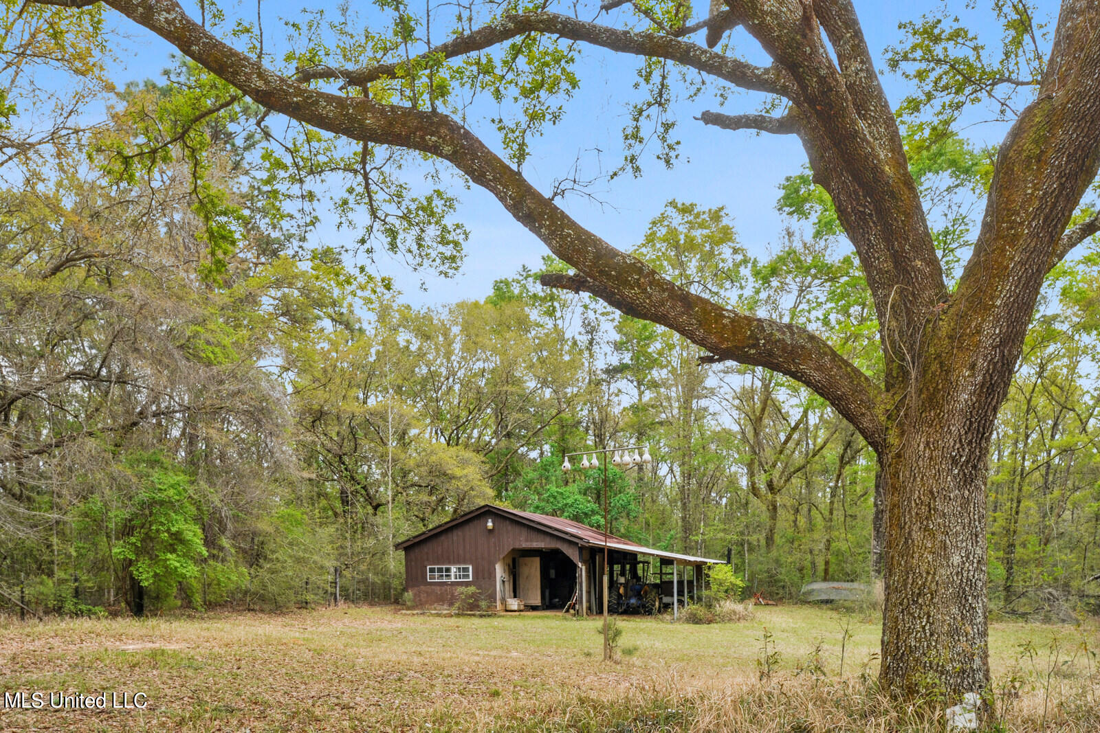228 Old Rob Hunter Road Lucedale, MS 39452 - Photo 15 of 23 014_1600x1067_mls