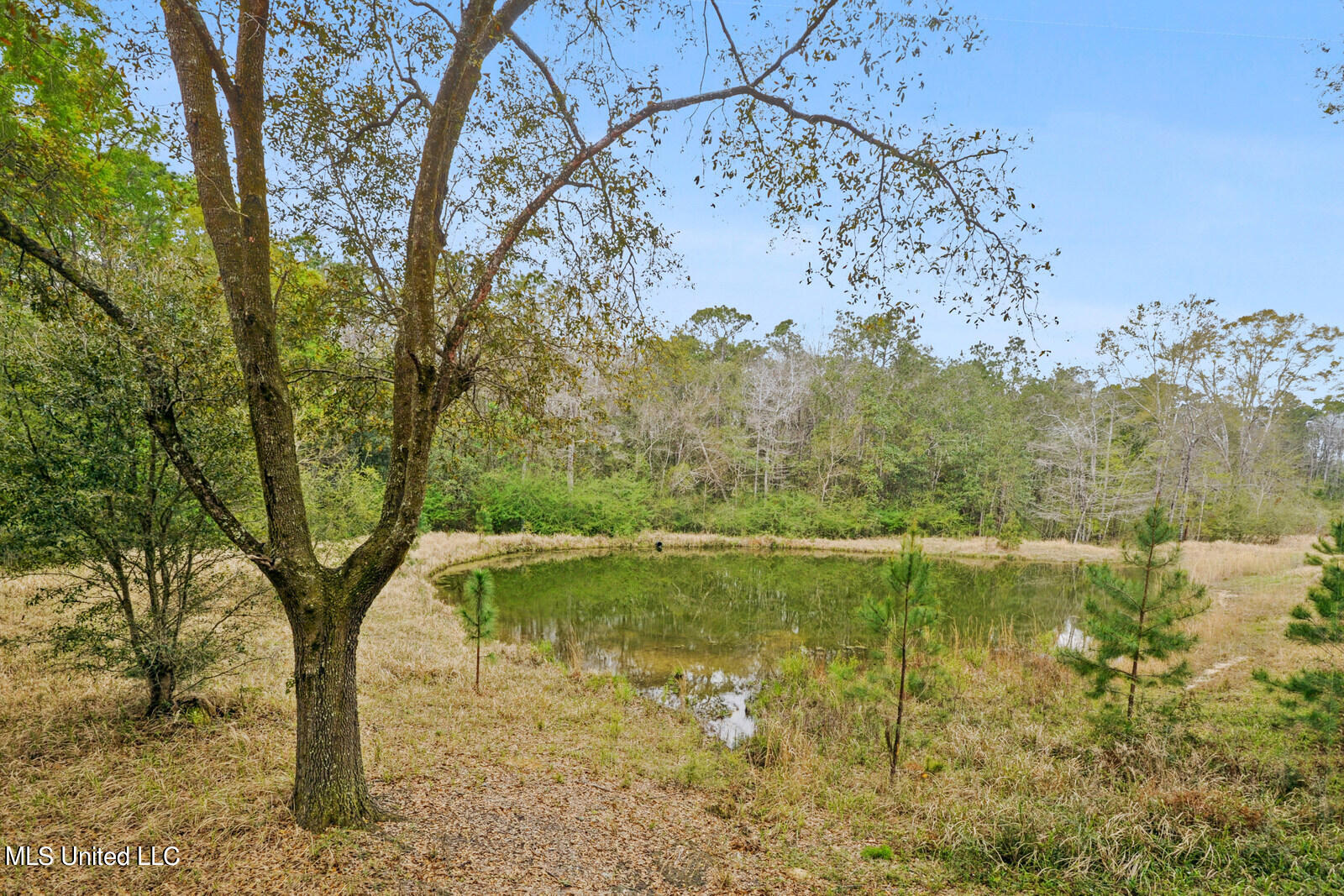 228 Old Rob Hunter Road Lucedale, MS 39452 - Photo 16 of 23 015_1600x1067_mls