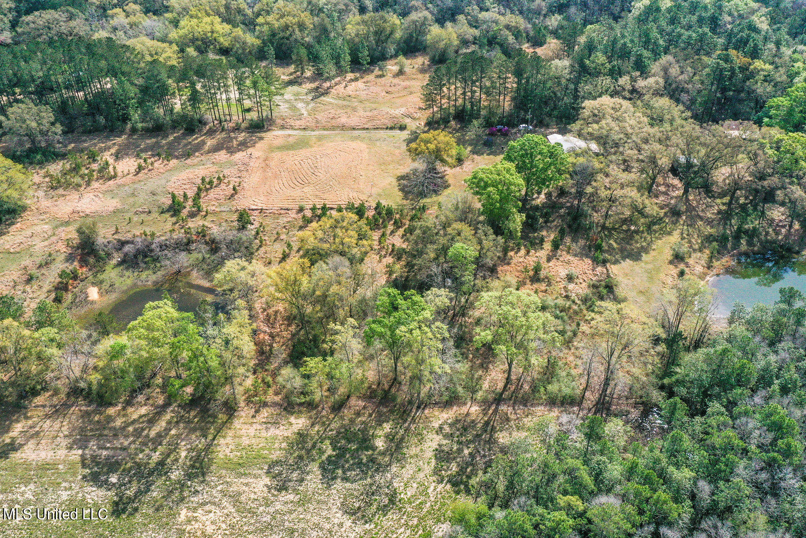 228 Old Rob Hunter Road Lucedale, MS 39452 - Photo 18 of 23 301_1600x1067_mls