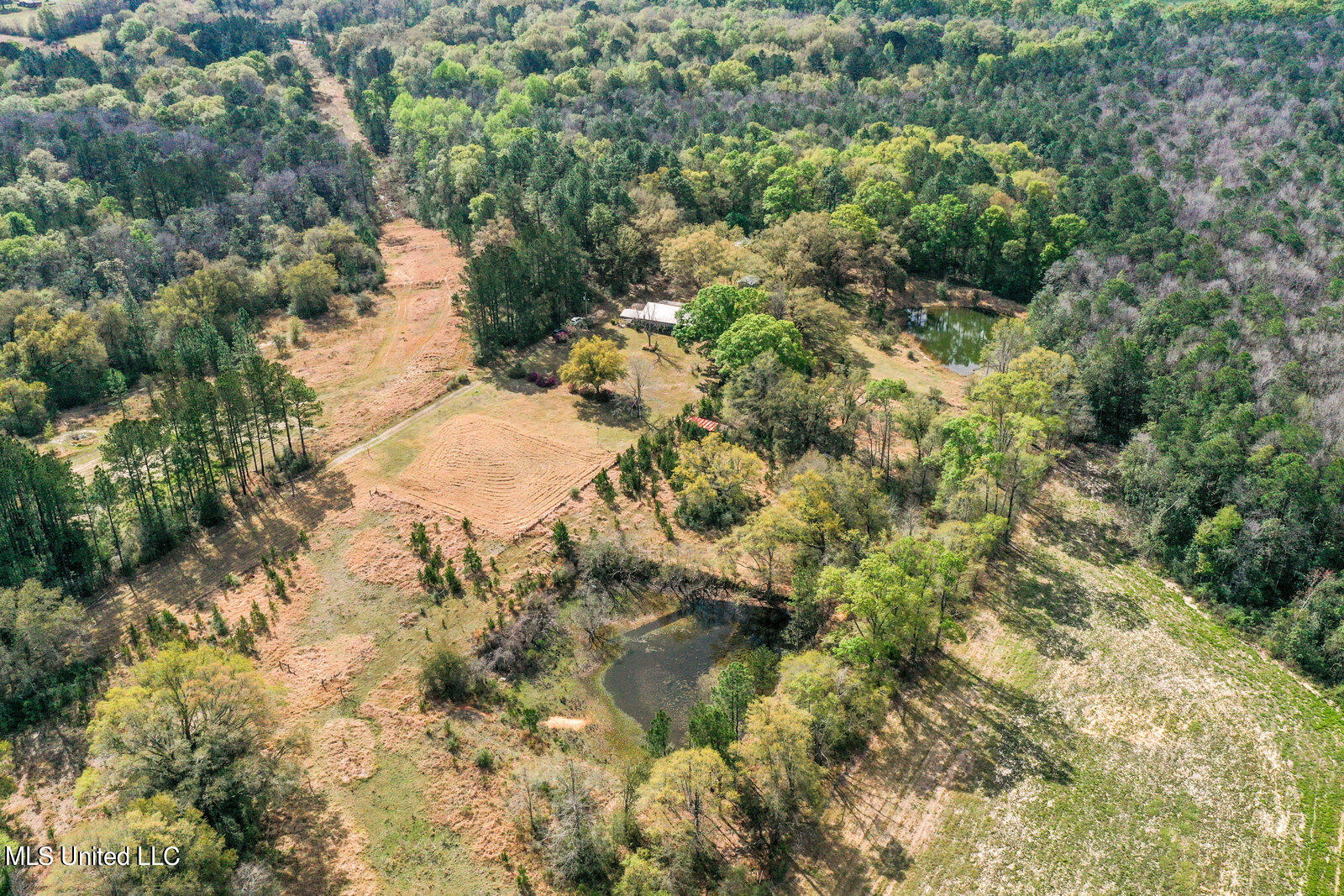228 Old Rob Hunter Road Lucedale, MS 39452 - Photo 19 of 23 302_1600x1067_mls