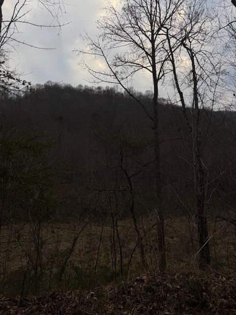 9999 Paint Gap Road Flat Lick, KY 40935 - Photo 1 of 3 Paint gap main