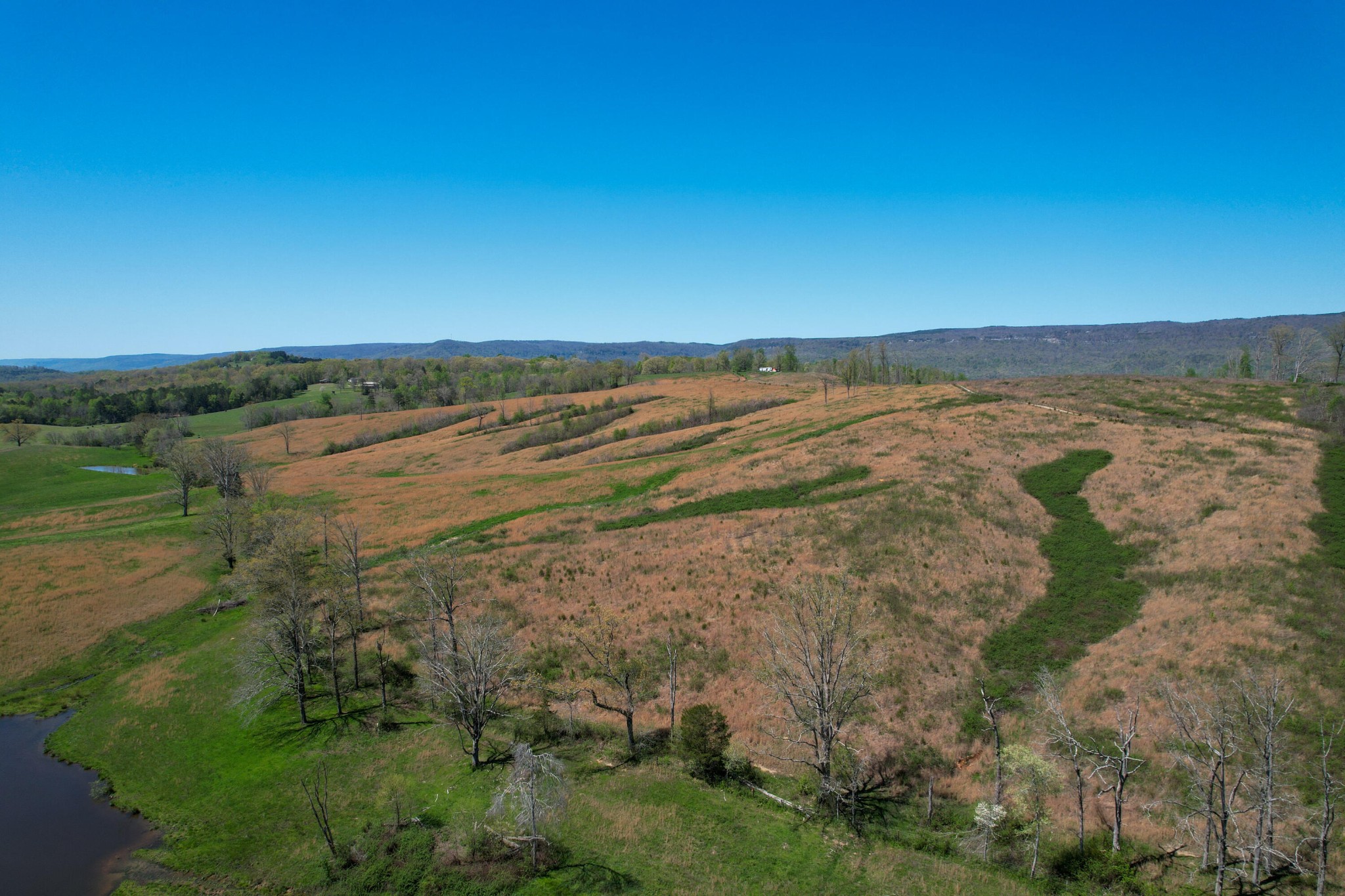 495 Lower East Valley Road Dunlap, TN 37327 - Photo 8 of 58 Gallery Image 8