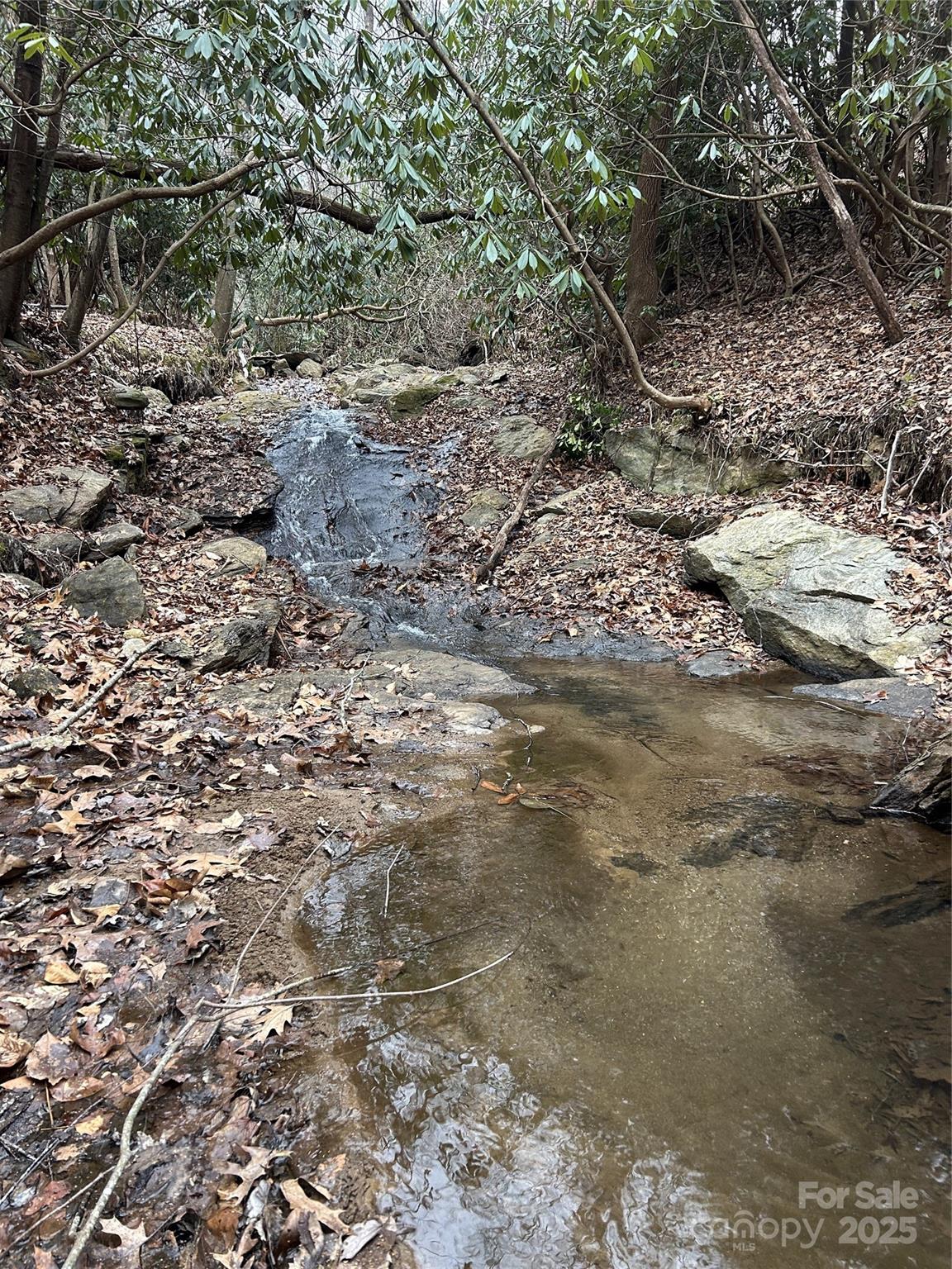 0 Lytle Cove Road Swannanoa, NC 28778 - Photo 12 of 35