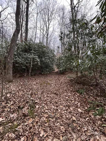 $1,400,000 | 0 Lytle Cove Road, Swannanoa, NC 28778
