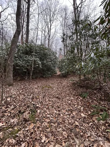 $1,400,000 | 0 Lytle Cove Road, Swannanoa, NC 28778