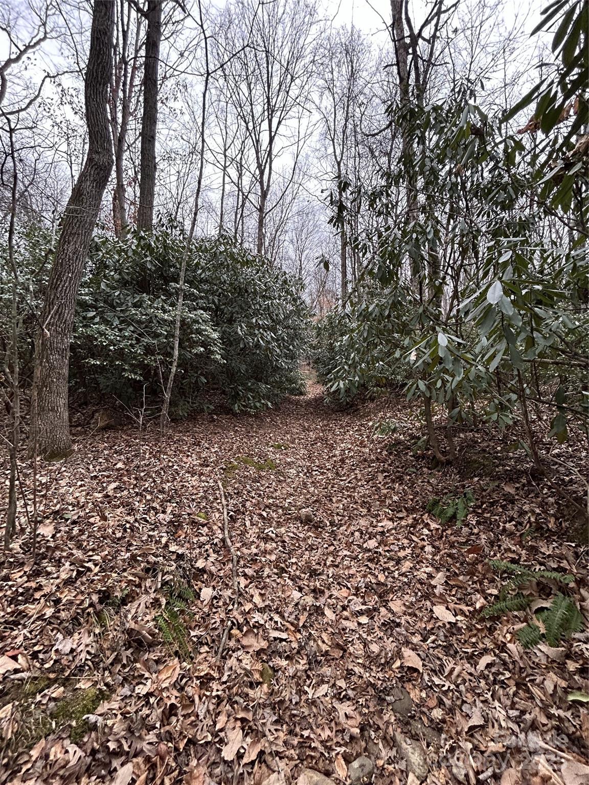 0 Lytle Cove Road Swannanoa, NC 28778 - Photo 13 of 35