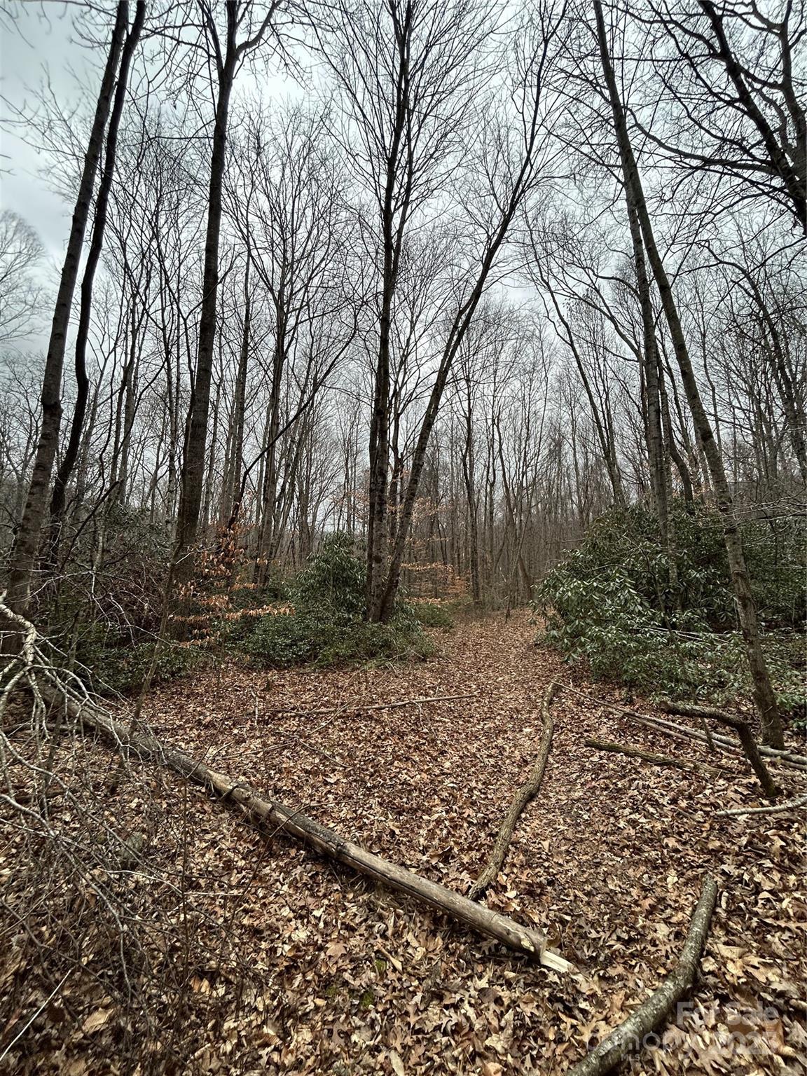 0 Lytle Cove Road Swannanoa, NC 28778 - Photo 14 of 35