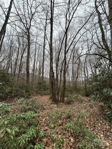 $1,400,000 | 0 Lytle Cove Road, Swannanoa, NC 28778