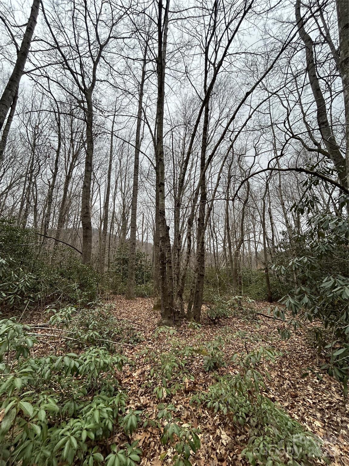 0 Lytle Cove Road Swannanoa, NC 28778 - Photo 15 of 35