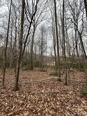 $1,400,000 | 0 Lytle Cove Road, Swannanoa, NC 28778