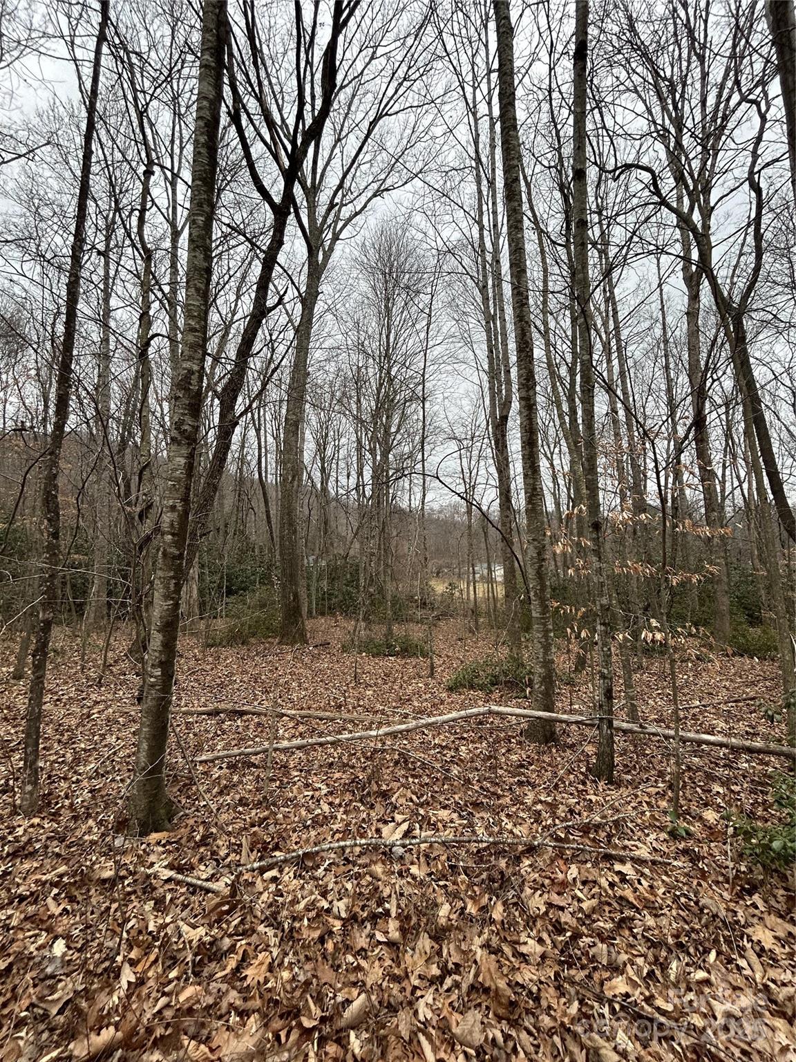 0 Lytle Cove Road Swannanoa, NC 28778 - Photo 16 of 35