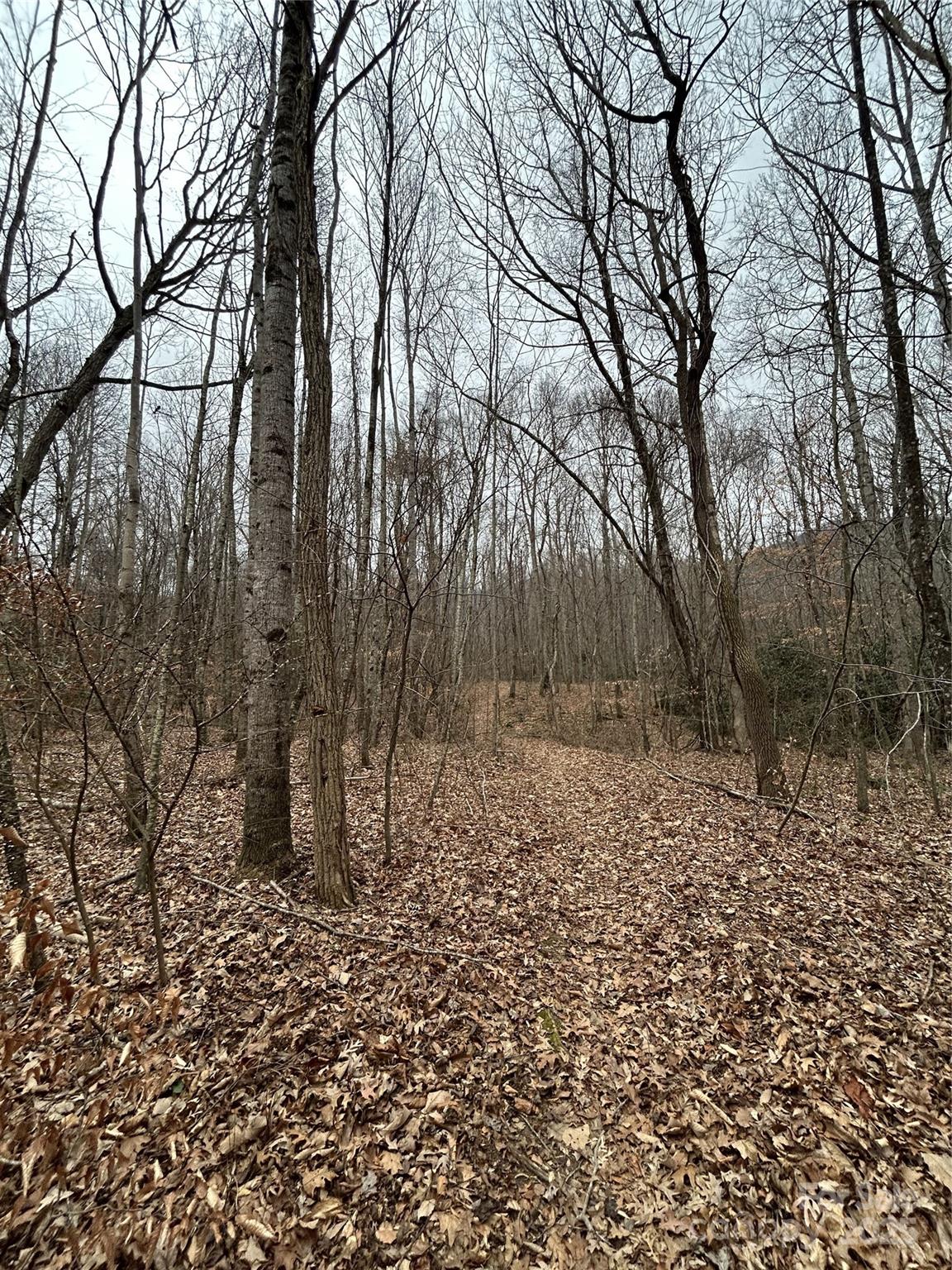 0 Lytle Cove Road Swannanoa, NC 28778 - Photo 17 of 35