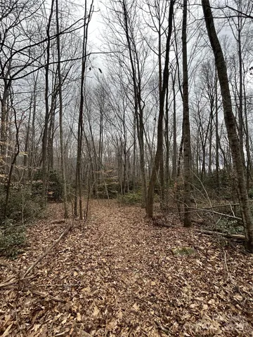 $1,400,000 | 0 Lytle Cove Road, Swannanoa, NC 28778