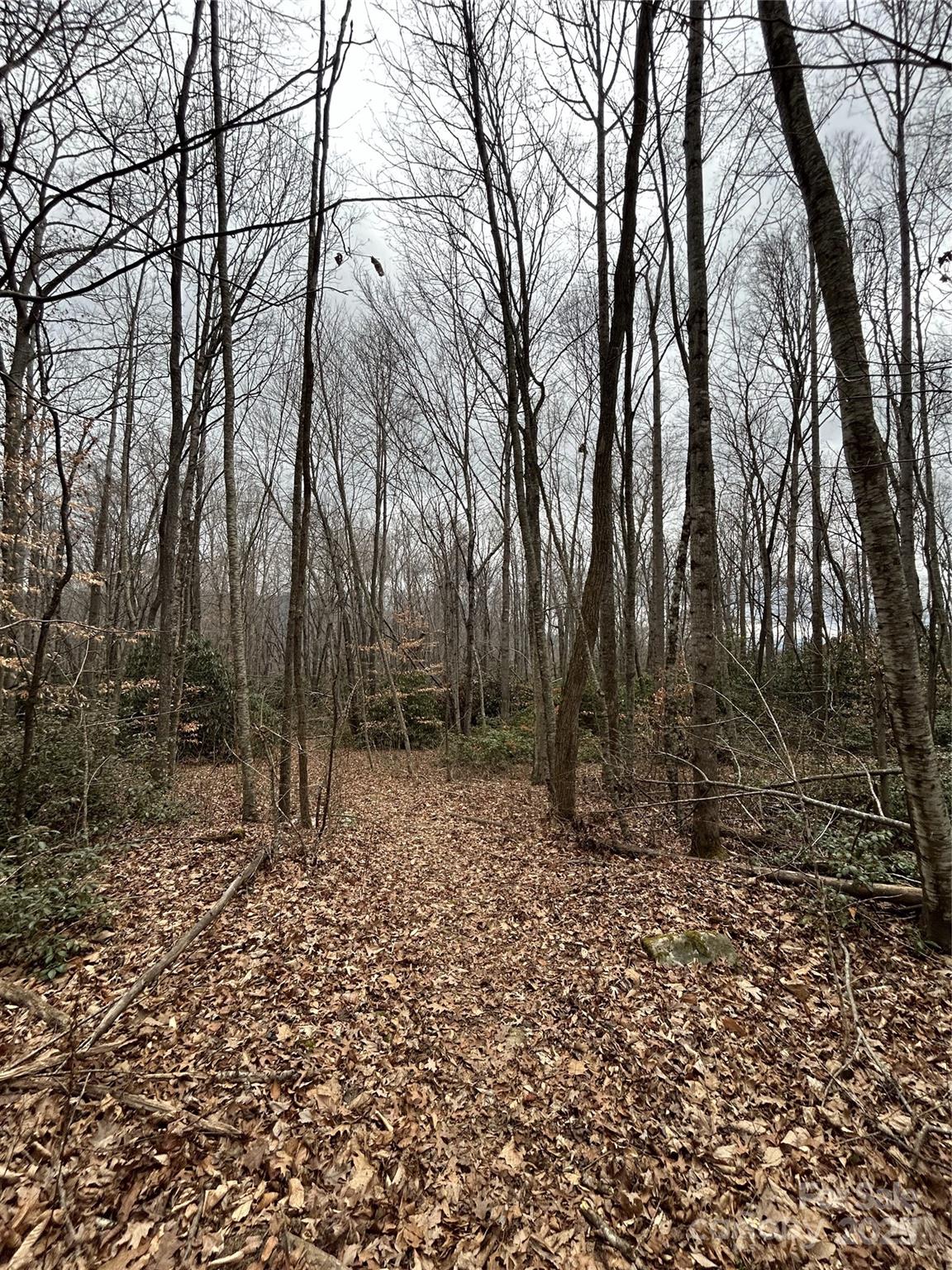 0 Lytle Cove Road Swannanoa, NC 28778 - Photo 18 of 35