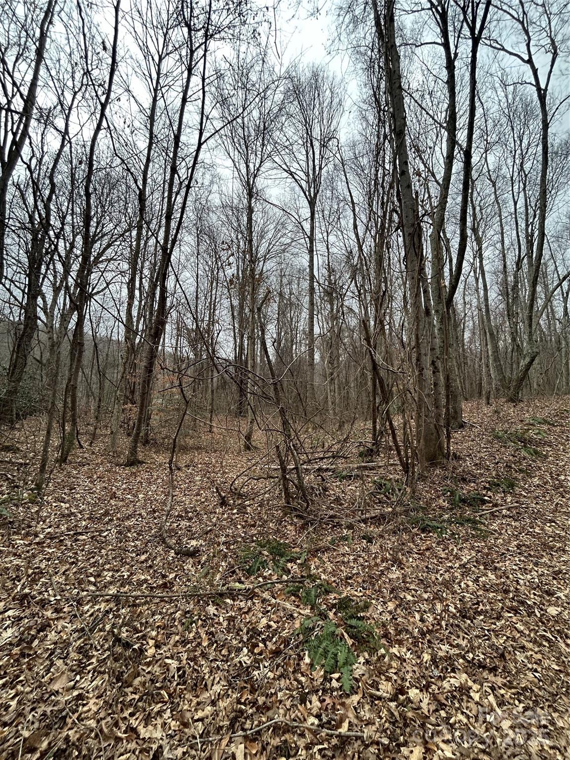 0 Lytle Cove Road Swannanoa, NC 28778 - Photo 19 of 35