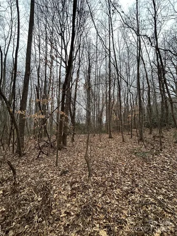 $1,400,000 | 0 Lytle Cove Road, Swannanoa, NC 28778