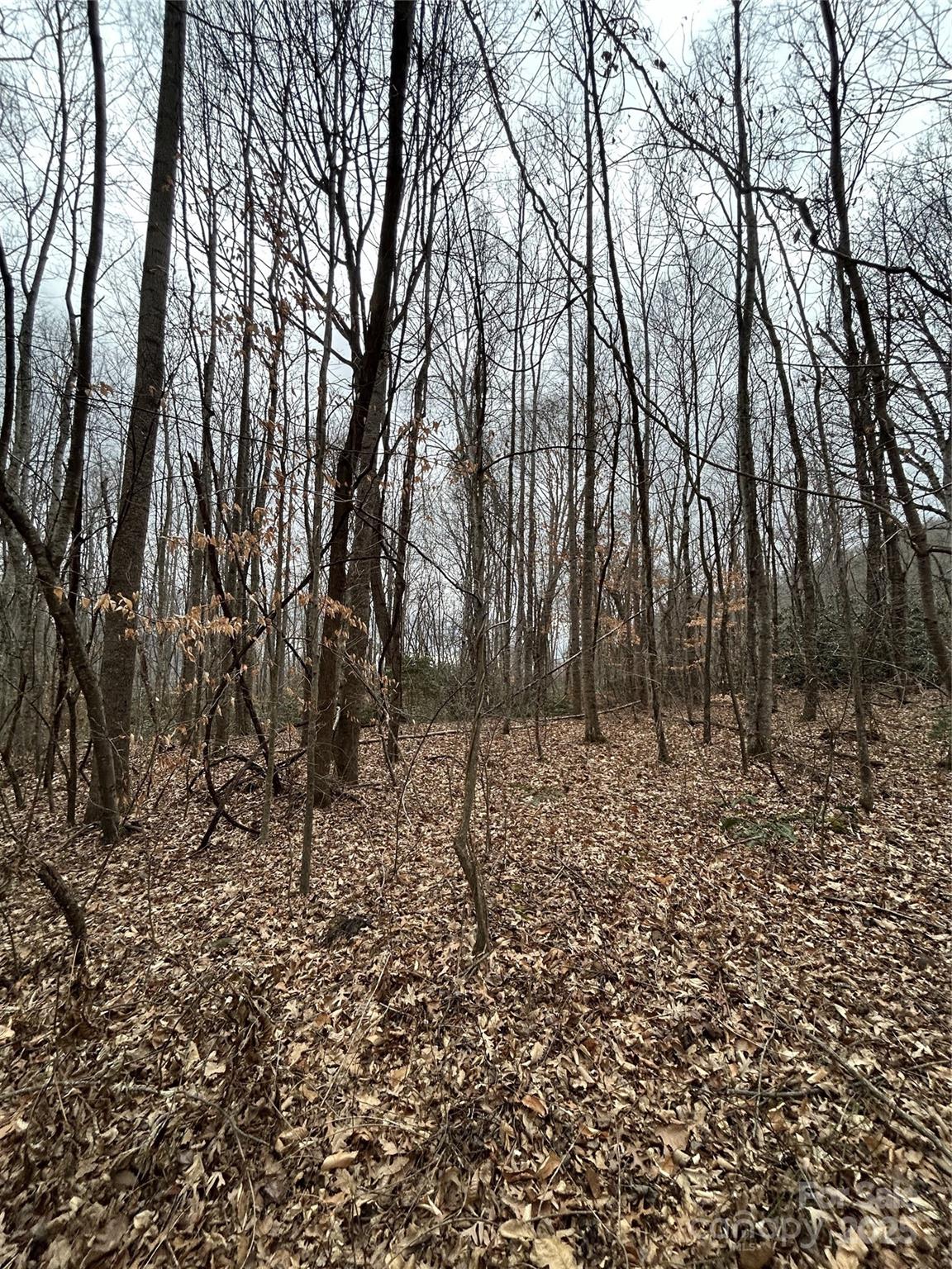 0 Lytle Cove Road Swannanoa, NC 28778 - Photo 20 of 35