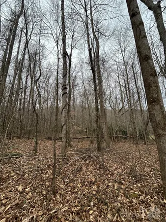 $1,400,000 | 0 Lytle Cove Road, Swannanoa, NC 28778
