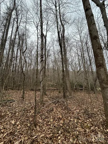 $1,400,000 | 0 Lytle Cove Road, Swannanoa, NC 28778