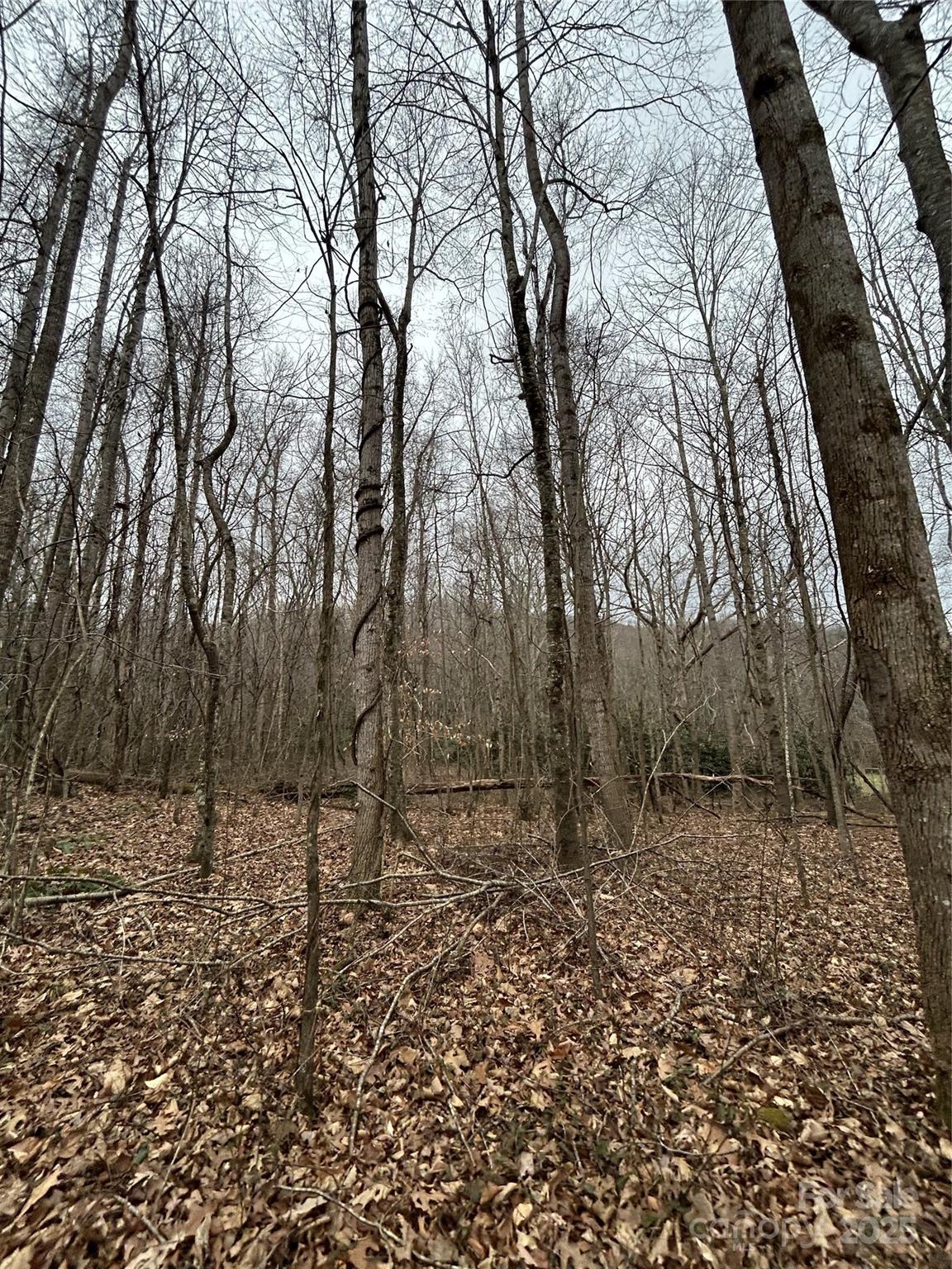 0 Lytle Cove Road Swannanoa, NC 28778 - Photo 21 of 35