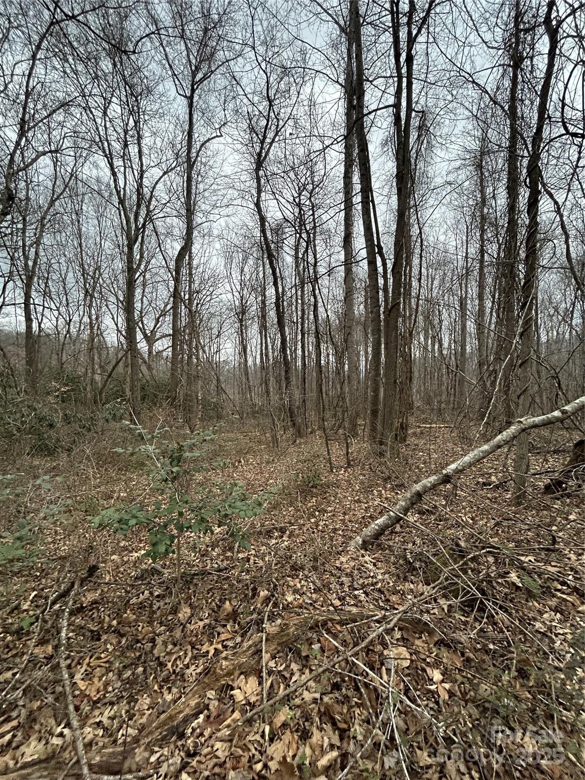 0 Lytle Cove Road Swannanoa, NC 28778 - Photo 22 of 35