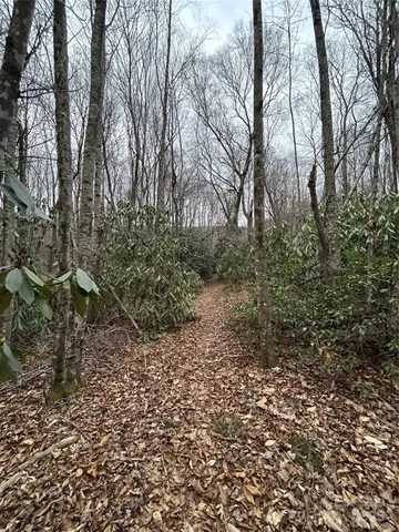 $1,400,000 | 0 Lytle Cove Road, Swannanoa, NC 28778