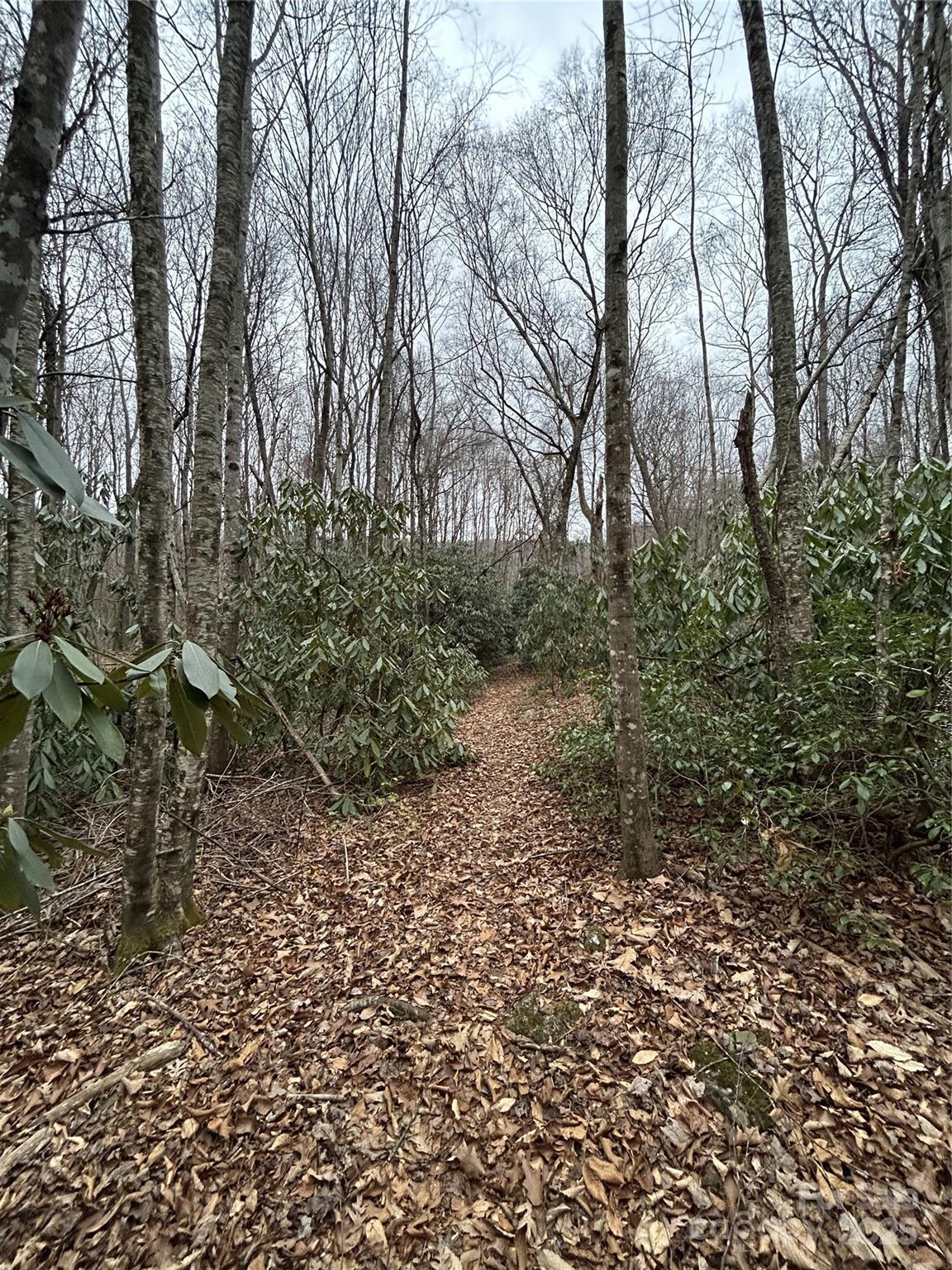 0 Lytle Cove Road Swannanoa, NC 28778 - Photo 23 of 35