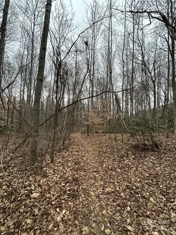 $1,400,000 | 0 Lytle Cove Road, Swannanoa, NC 28778