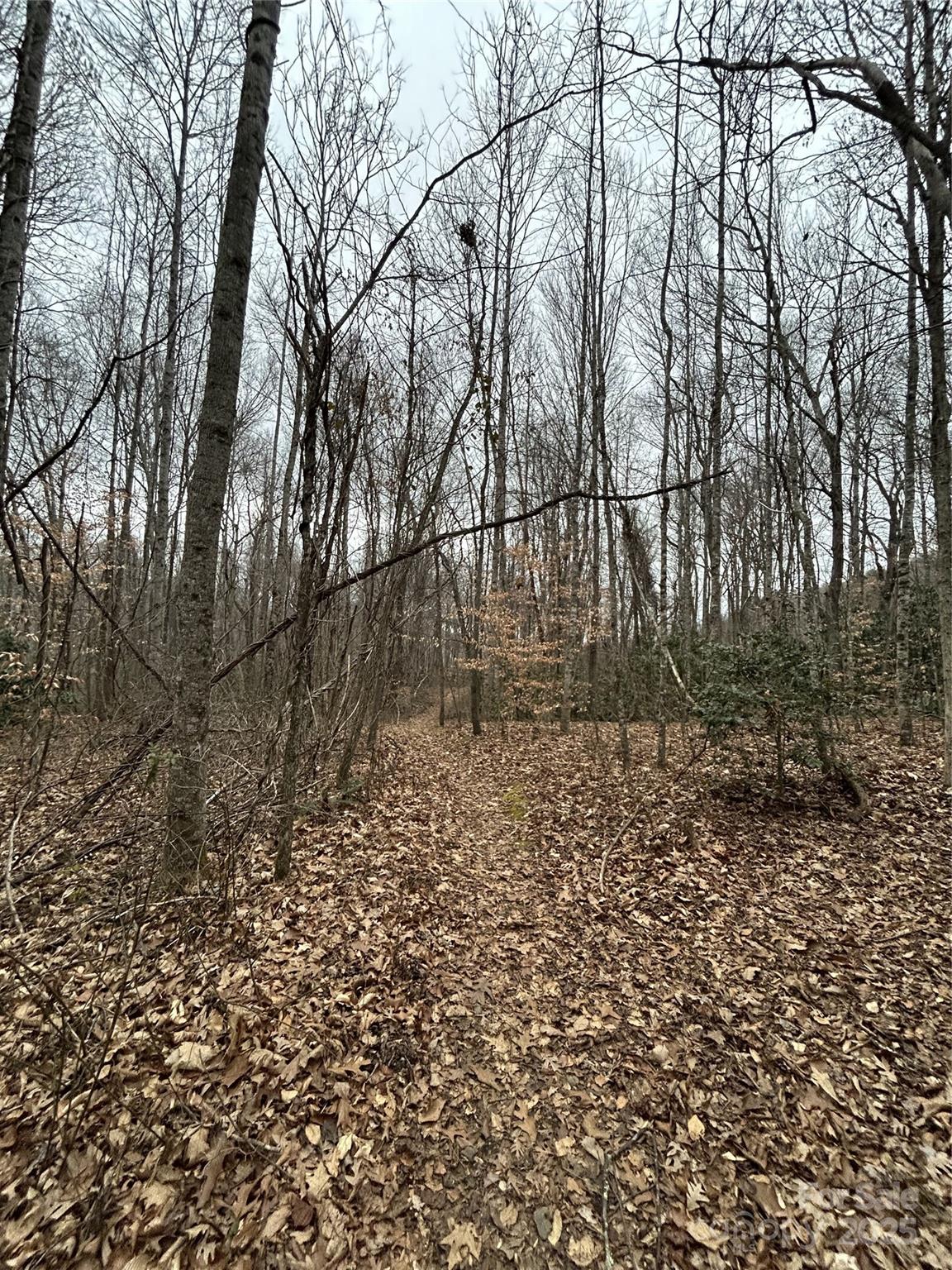 0 Lytle Cove Road Swannanoa, NC 28778 - Photo 24 of 35