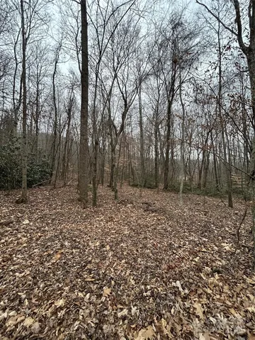 $1,400,000 | 0 Lytle Cove Road, Swannanoa, NC 28778