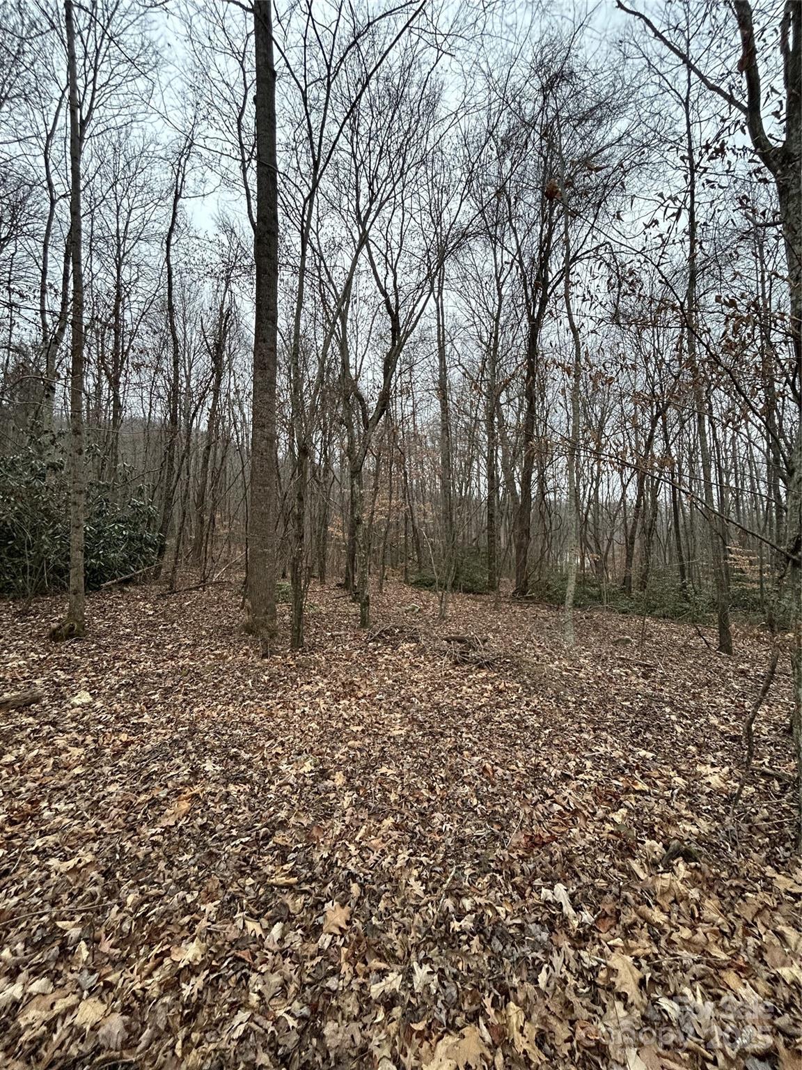 0 Lytle Cove Road Swannanoa, NC 28778 - Photo 25 of 35