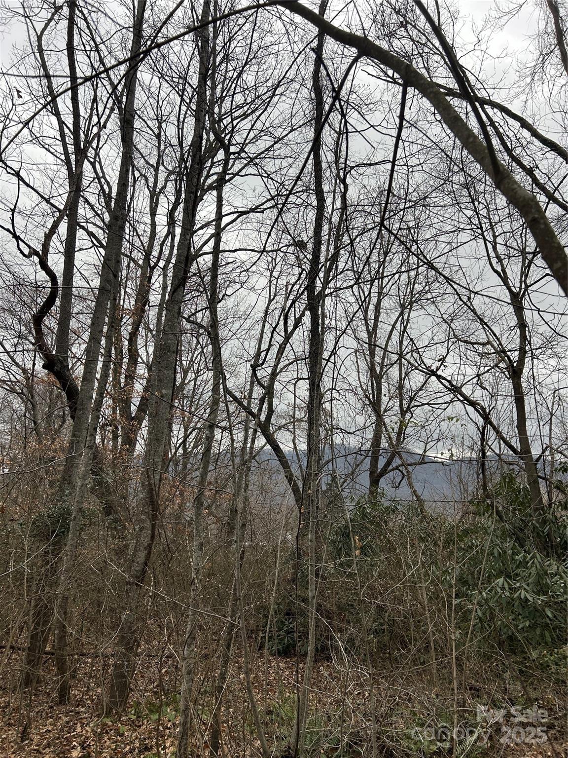 0 Lytle Cove Road Swannanoa, NC 28778 - Photo 26 of 35