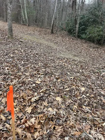 $1,400,000 | 0 Lytle Cove Road, Swannanoa, NC 28778