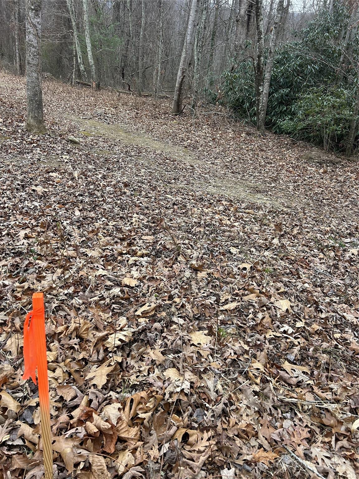 0 Lytle Cove Road Swannanoa, NC 28778 - Photo 27 of 35